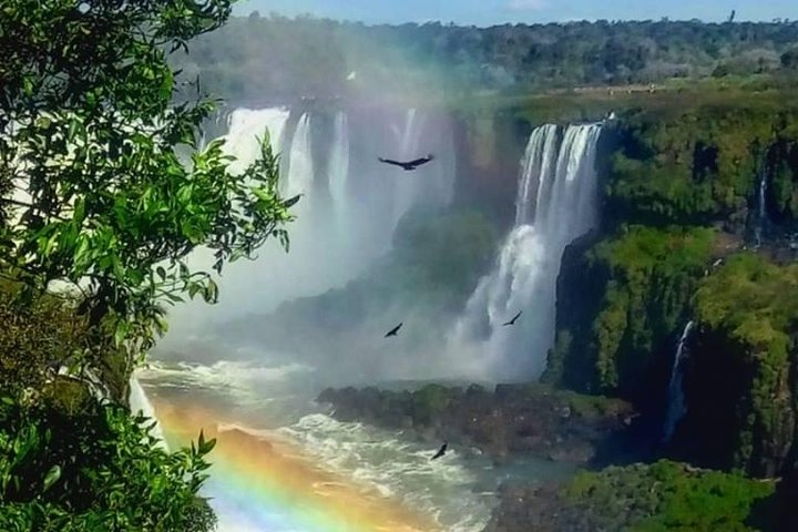 Iguassu Brazilian Side - Private Tour - Exclusive Gran Meliá Iguazú