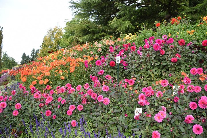 Dagtocht Flower Island of Mainau inclusief Meersburg