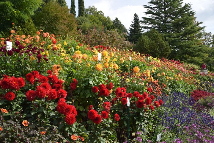 Dagtocht Flower Island of Mainau inclusief Meersburg