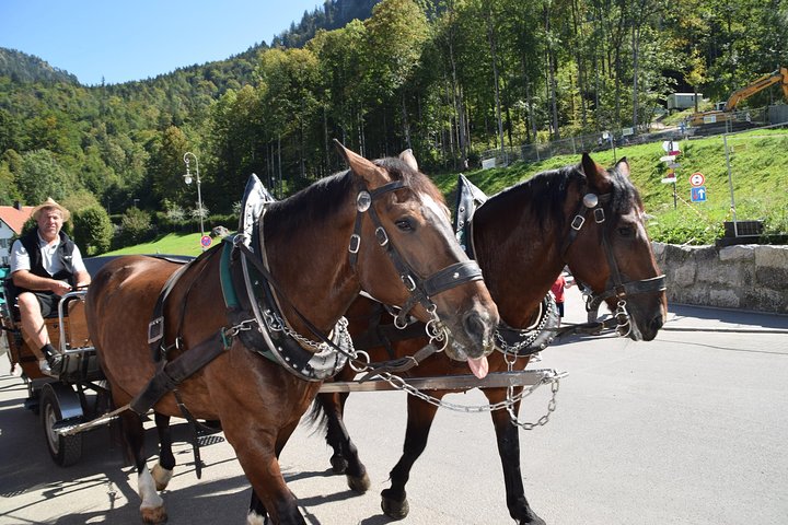 Privé begeleide dagtocht naar kasteel Neuschwanstein incl. Koets Paardrijden