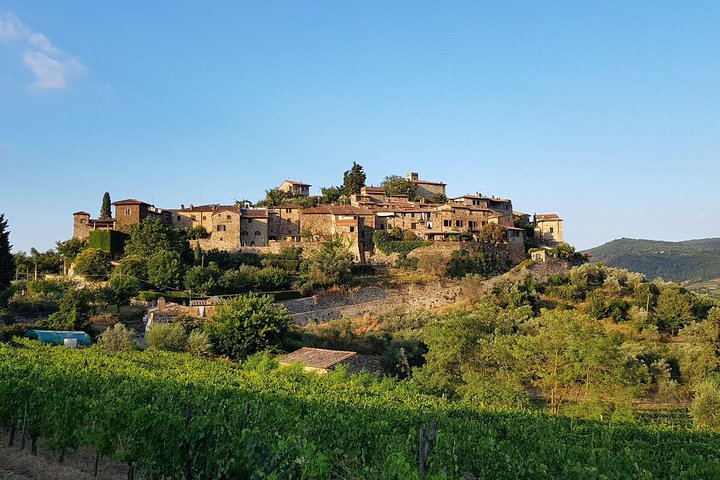 Domaine viticole Montefioralle - Visite et dégustation de vins dans le Chianti