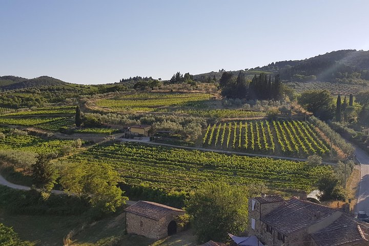 Domaine viticole Montefioralle - Visite et dégustation de vins dans le Chianti