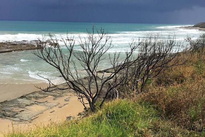 Excursão de 3 dias em Melbourne a Adelaide incluindo a Great Ocean Road