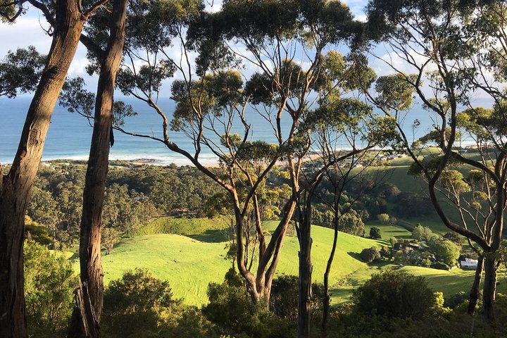 Excursão de 3 dias em Melbourne a Adelaide incluindo a Great Ocean Road
