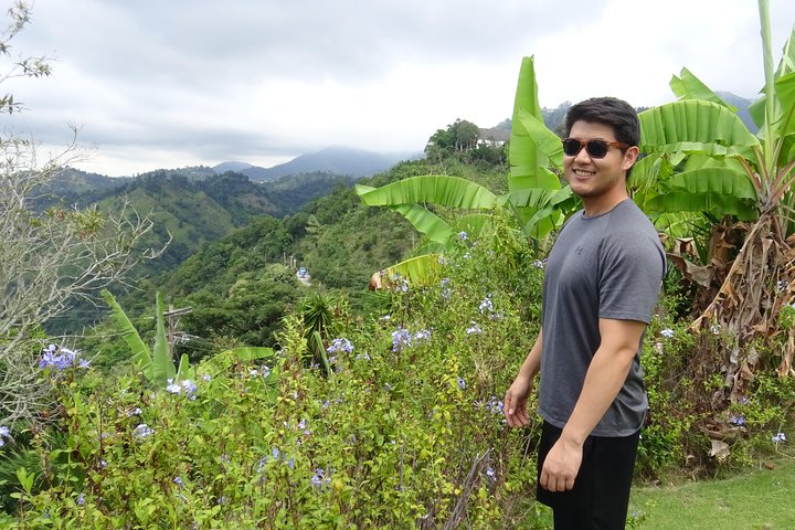 Blue Mountain kaffe og sightseeingtur