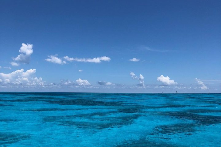 Aventure en bateau à fond de verre sur le récif corallien de Key Largo