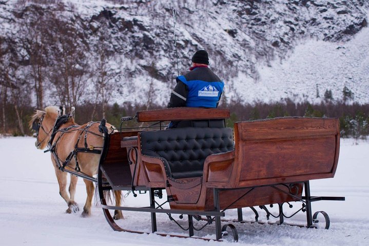 Paseo en trineo o carreta por el Ártico Campo