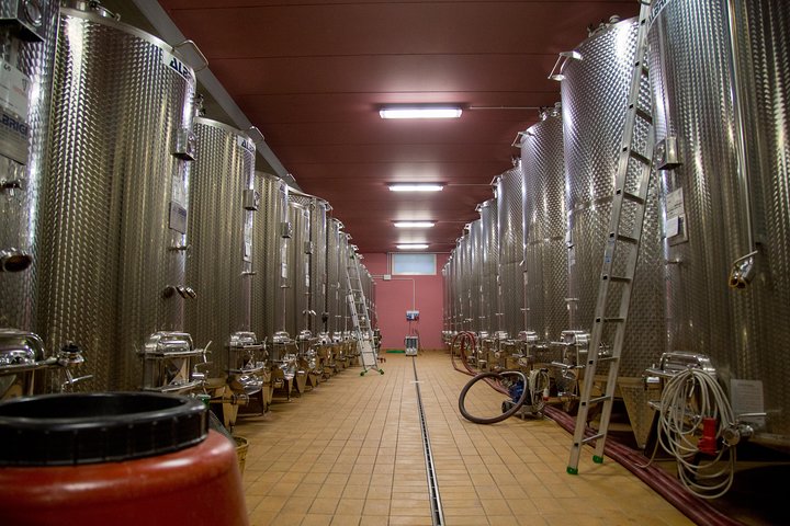 Große Tour durch Valpolicella : Schwerpunkt Amarone, 2 Weingüter und Mittagessen