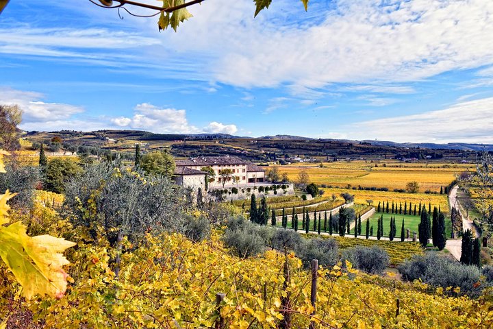 Große Tour durch Valpolicella : Schwerpunkt Amarone, 2 Weingüter und Mittagessen