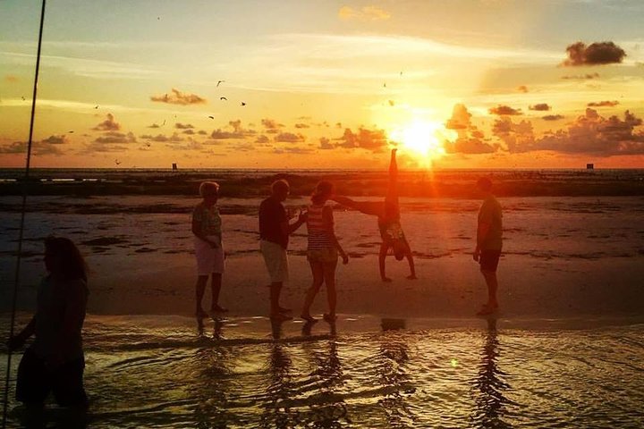 Passeio de barco ao pôr do sol com golfinhos na Ilha Anna Maria