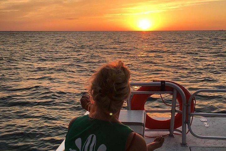 Passeio de barco ao pôr do sol com golfinhos na Ilha Anna Maria