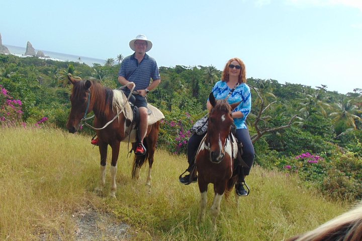 Excursion à cheval et cascade sur la côte est