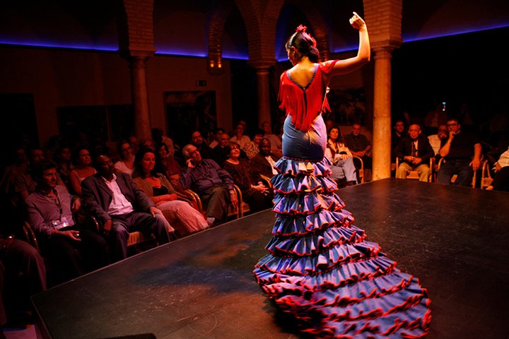 Séville : Puro Flamenco Show - Museo del Baile Flamenco