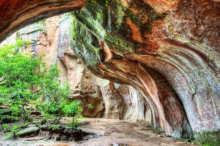 Abenteuer durch den Toro Toro National Park. 3 Tage 2 Nächte. Englisch-Führer