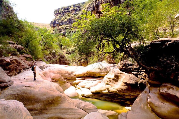 Abenteuer durch den Toro Toro National Park. 3 Tage 2 Nächte. Englisch-Führer
