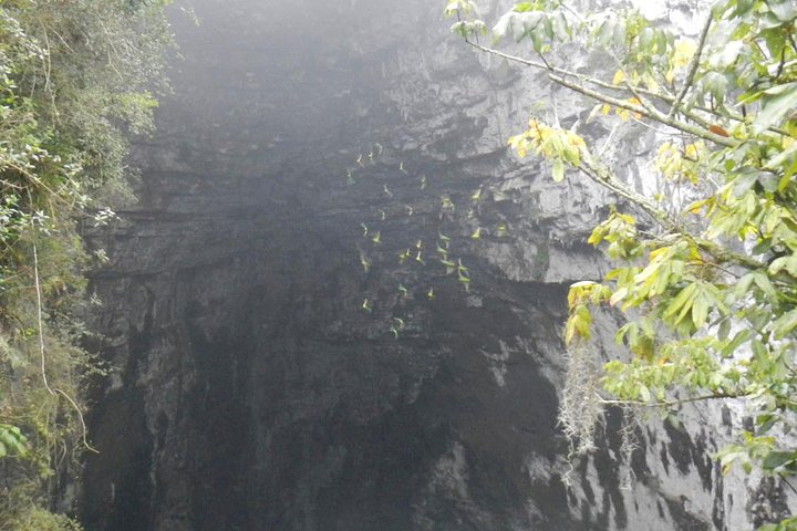 Surrealistisk havetur i Xilitla og Sotano de las Huahuas