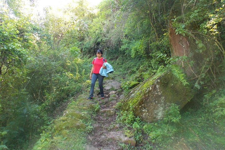 Van de Quebrada tot de Yungas bij de Qhapac Ñan