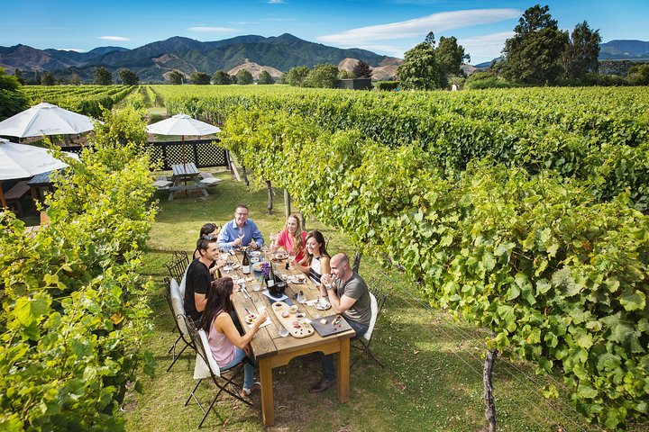 Gourmet Gold Wine Tour: concediti i migliori vini di Cloudy Bay