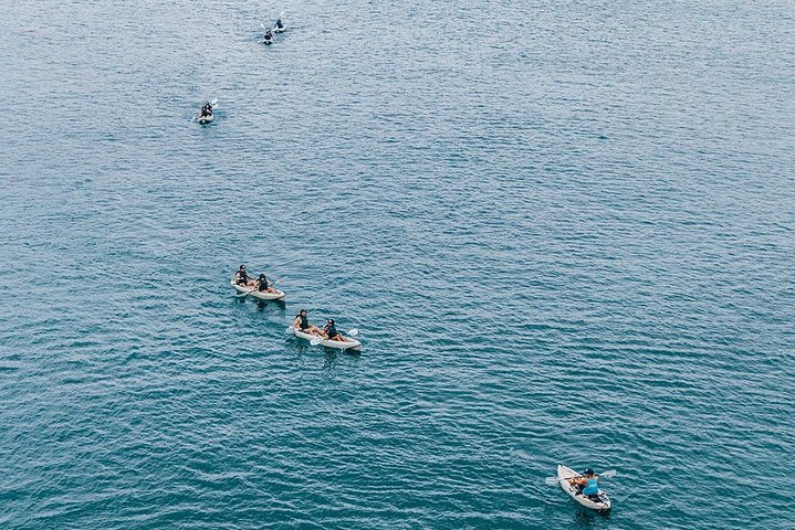 Originele La Jolla Sea Cave Kayak Tour voor twee