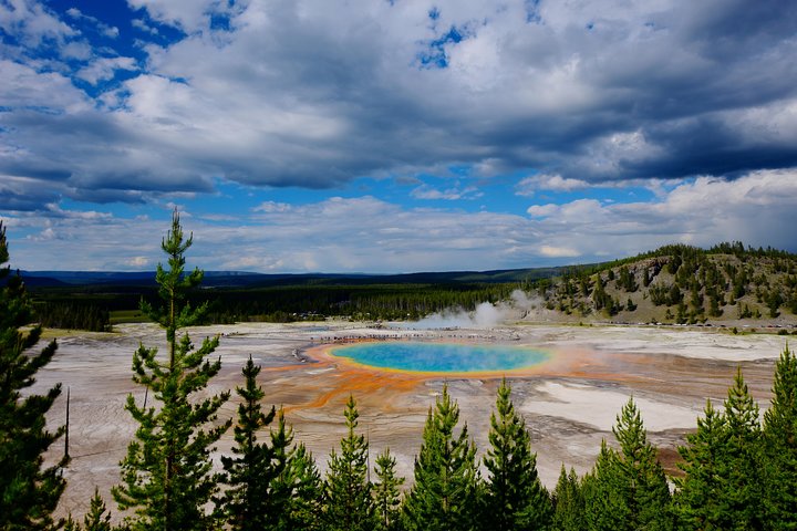 Visite privée de Yellowstone : sites emblématiques, faune, randonnées familiales + déjeuner