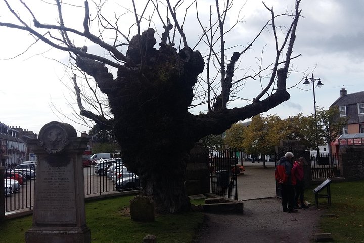 Loch Ness, cawdor castle, inverness, Culloden slagmark og mere fra invergordon