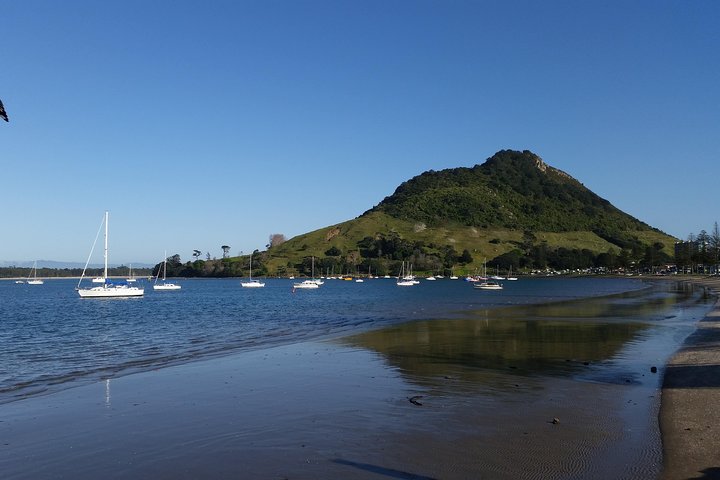 Private Tour Rotorua Landausflug mit bis zu 8 Passagieren