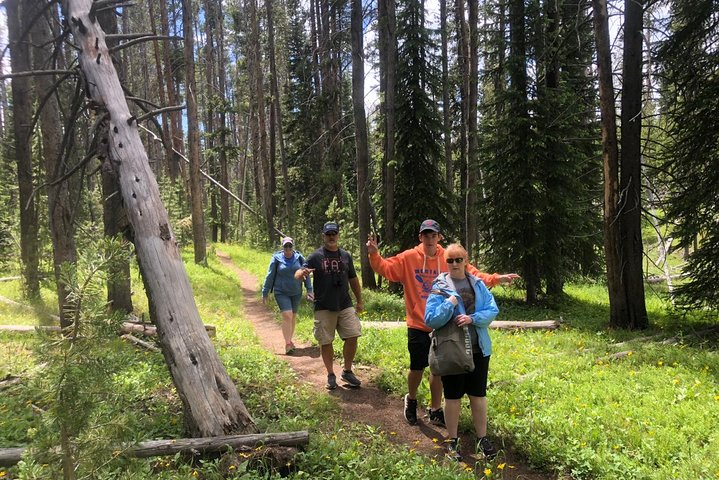 Visite privée de Yellowstone : sites emblématiques, faune, randonnées familiales + déjeuner