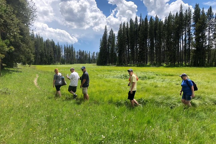 Visite privée de Yellowstone : sites emblématiques, faune, randonnées familiales + déjeuner