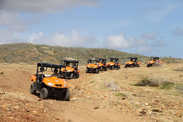 Aruba UTV Adventure: Animal Garden, North Coast & Andicuri Beach
