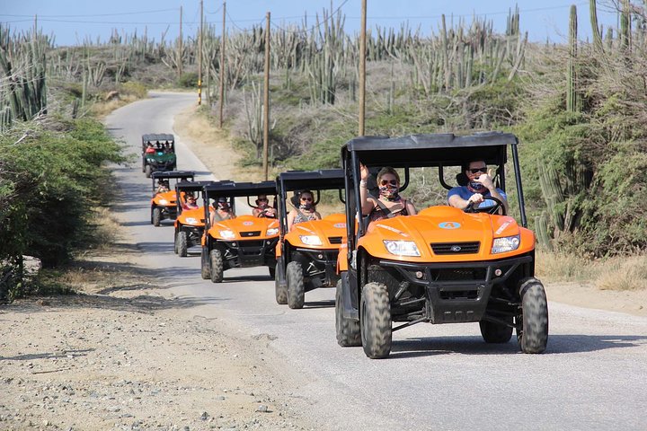 Aruba UTV Adventure: Animal Garden, North Coast & Andicuri Beach