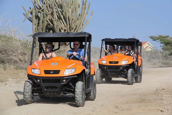 Aruba UTV Adventure: Animal Garden, North Coast & Andicuri Beach