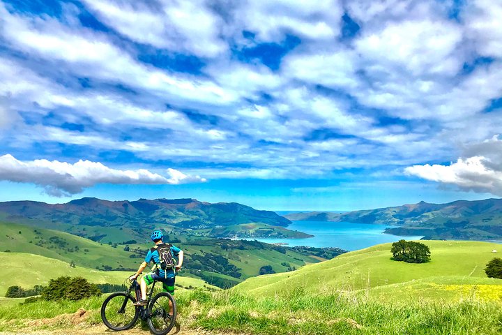 Lava Loop - Guidet elektrisk mountainbike-tur i Akaroa