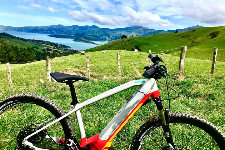 Akaroa Explorer- Guidet elcykeltur i Akaroa