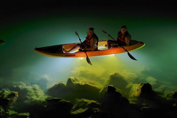 Sharkeys fisk med glasbotten matar LED Night Tour St. Pete Beach