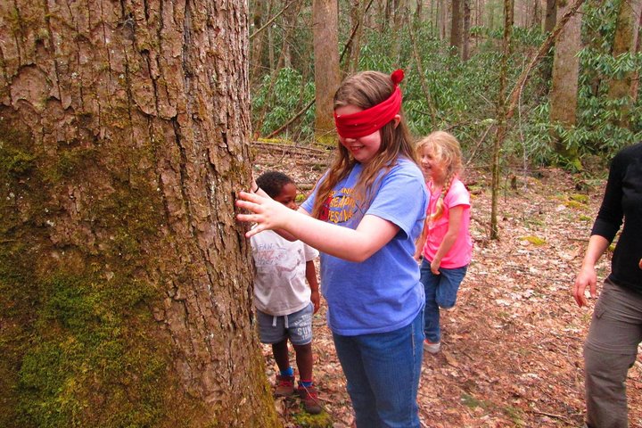 Die Natur mit Kindern teilen : Rauchberg-Entdeckung zum Mitmachen