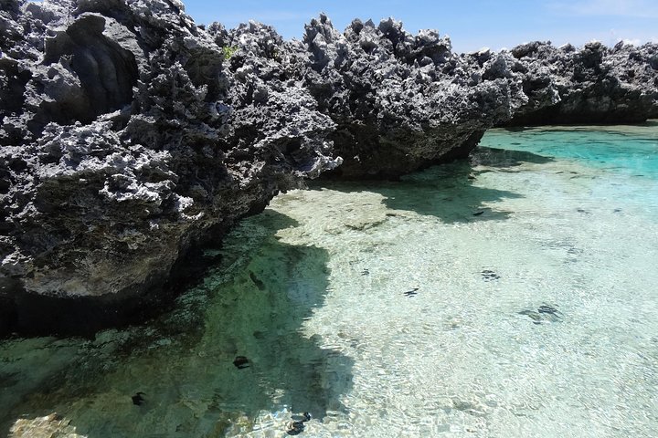 REEF ISLAND | privat ø | lyserødt sand | naturlige svømmebassiner