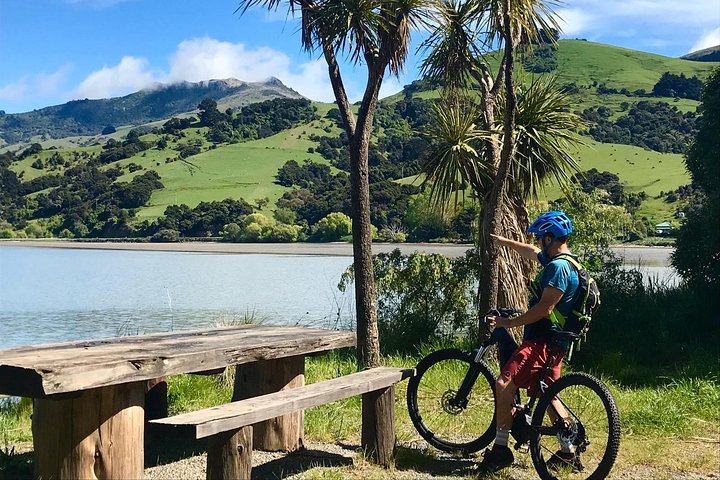 Akaroa Explorer- Guidet elcykeltur i Akaroa