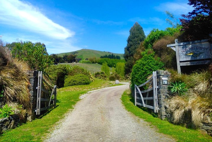 Akaroa Explorer- Guidet elcykeltur i Akaroa