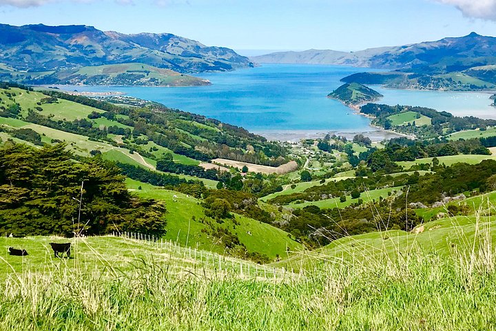 Lava Loop - Guidet elektrisk mountainbike-tur i Akaroa