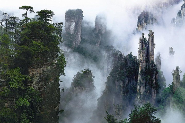 Tour privato di 1 giorno al Parco Nazionale della Foresta ZJJ e Avatar Mountain