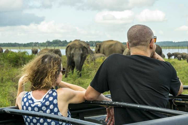 GÅ VILD! Dobbelt Safari-dagstur (Yala & Udawalawe) - Privat & All Inclusive