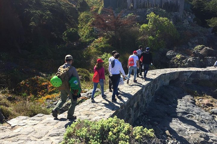 Zapallar Vandring och fågelskådning Penguin Island från Valparaíso