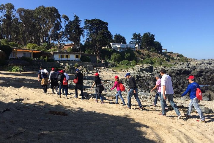 Zapallar Vandring och fågelskådning Penguin Island från Valparaíso