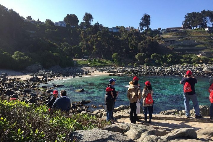 Zapallar Vandring och fågelskådning Penguin Island från Valparaíso