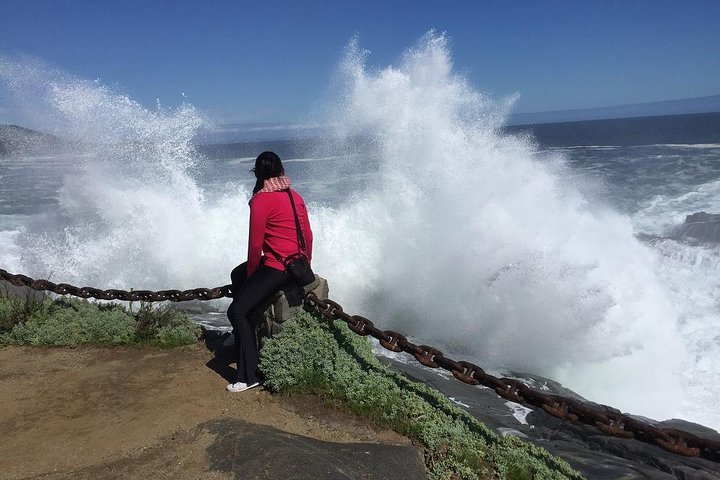 Zapallar Vandring och fågelskådning Penguin Island från Valparaíso