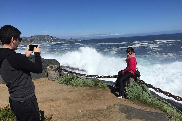 Zapallar Vandring och fågelskådning Penguin Island från Valparaíso