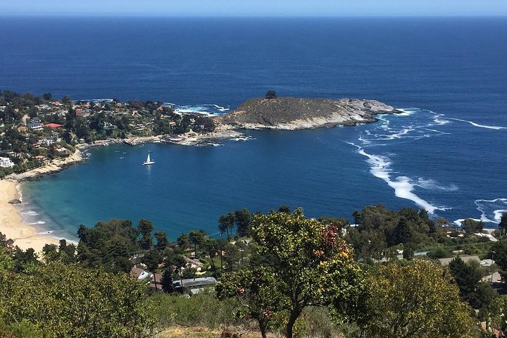 Zapallar Vandring och fågelskådning Penguin Island från Valparaíso