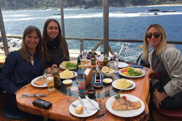Zapallar Vandring och fågelskådning Penguin Island från Valparaíso