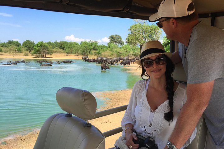 Yala Full Day Safari med picnic frokost - privat og all inclusive