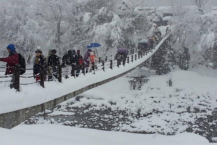 [Visite en bus d'une journée au départ de la gare de Kanazawa] Visite de Shirakawa-go/Takayama en bus Platinum Route
